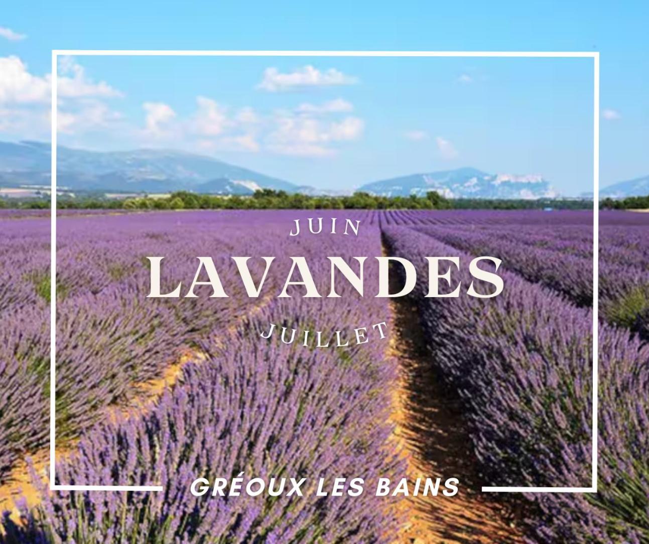 Oasis Tranquille - L'Evasion Au Verdon Greoux-les-Bains Exterior photo
